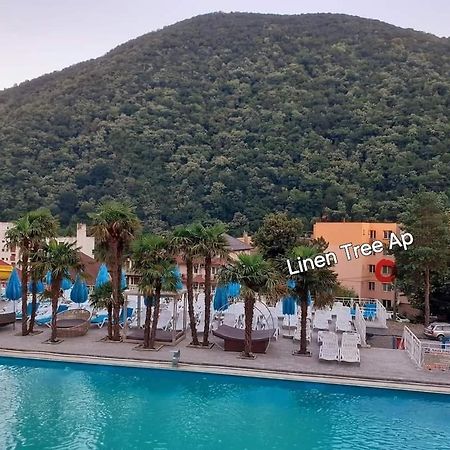 Linen Tree Apartment Baile Herculane Bagian luar foto