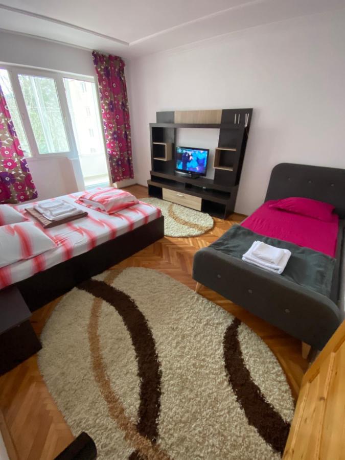 Linen Tree Apartment Baile Herculane Bagian luar foto