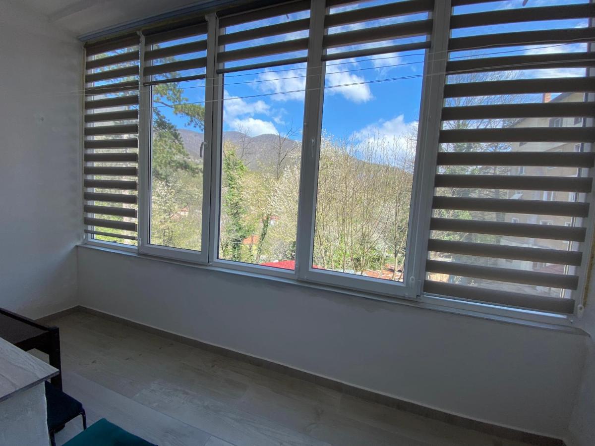 Linen Tree Apartment Baile Herculane Bagian luar foto