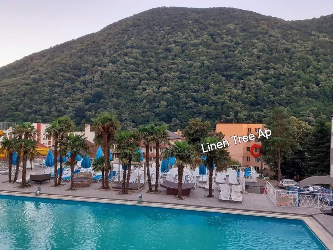 Linen Tree Apartment Baile Herculane Bagian luar foto