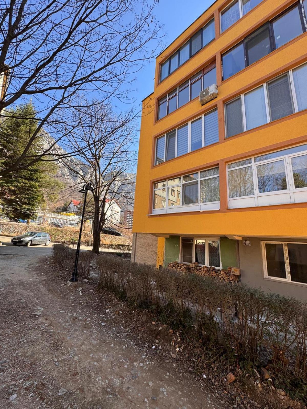 Linen Tree Apartment Baile Herculane Bagian luar foto